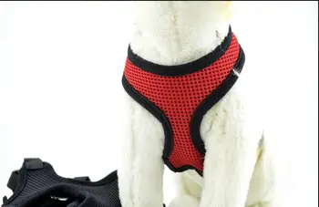 Куче на каишка куче на верига открит упражнения гърдите назад набор от ДОМАШНИ мрежи жилетка, колан, е важно