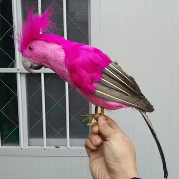 около 40 см цветни пера на папагал птица, модел ръчно изработени, полиетилен и пера на папагал разчита, декорация на дома, подарък играчка w3956